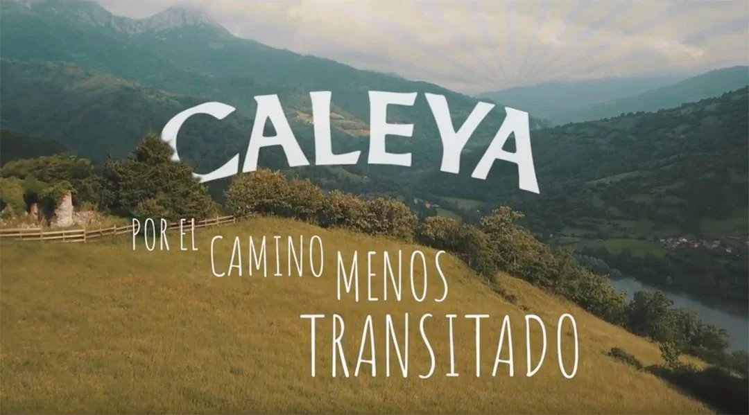 Por el camino menos transitado