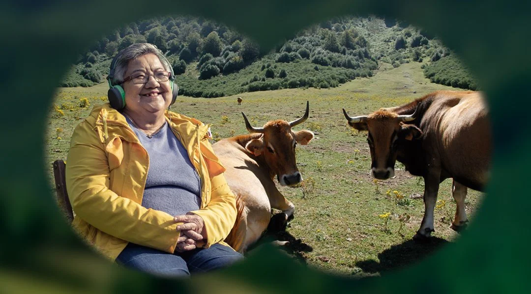 Festival de Ecoturismo «En peligro de extinción»